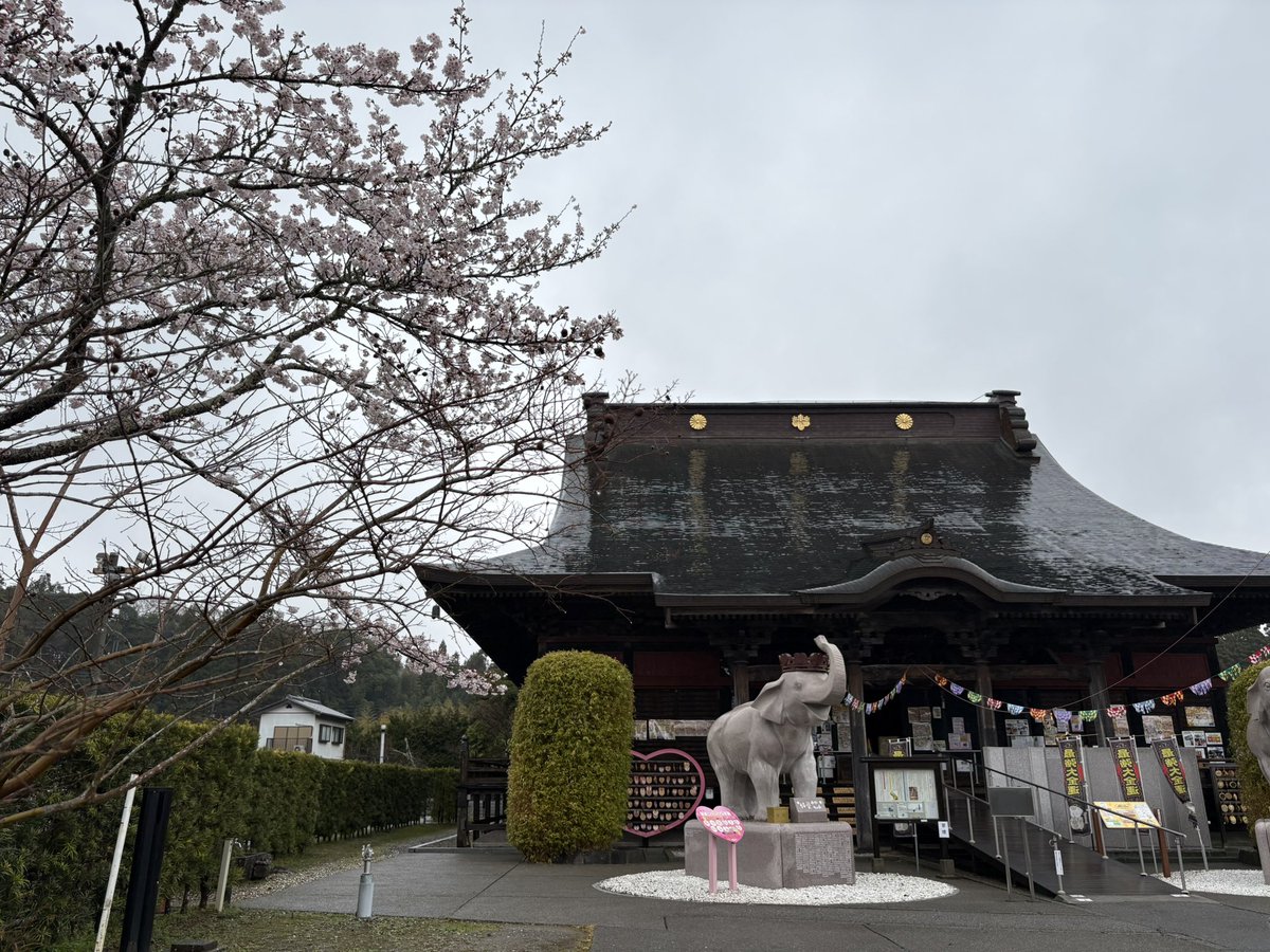 九十九里浜のケン tweet media