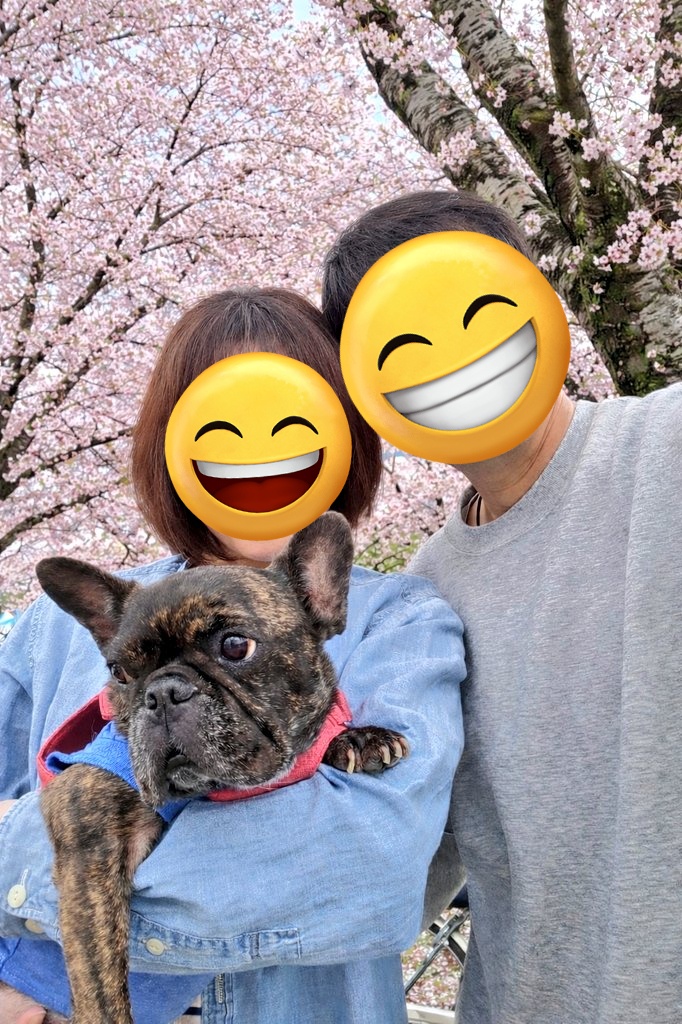 つよし🐶まる tweet media