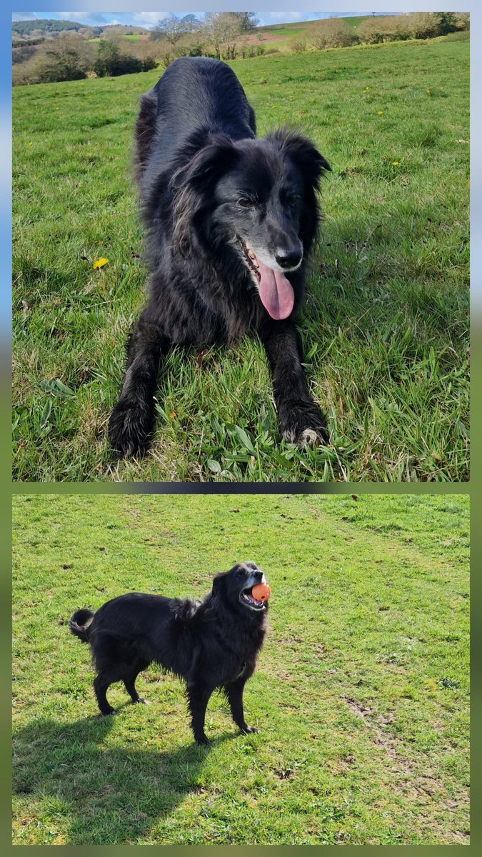 Dr. Corinne Scott tweet media