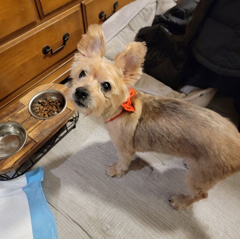 House with a Heart tweet media