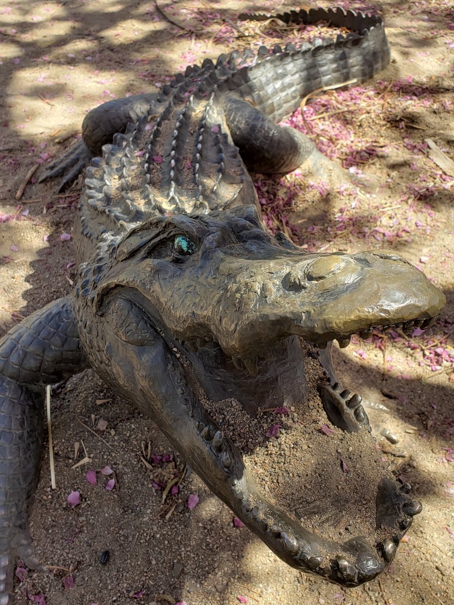 jaspering 🐊!! tweet media