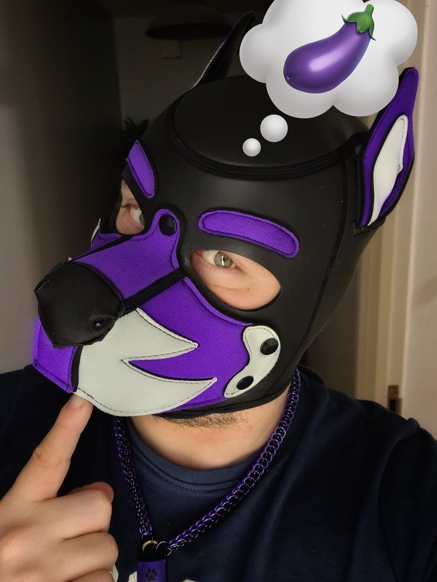 Scruffy Daxx tweet media