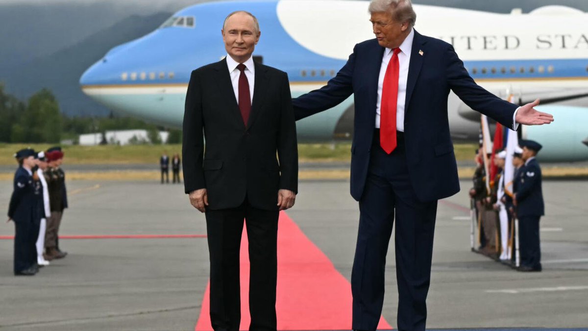 Bisounours grognon tweet media