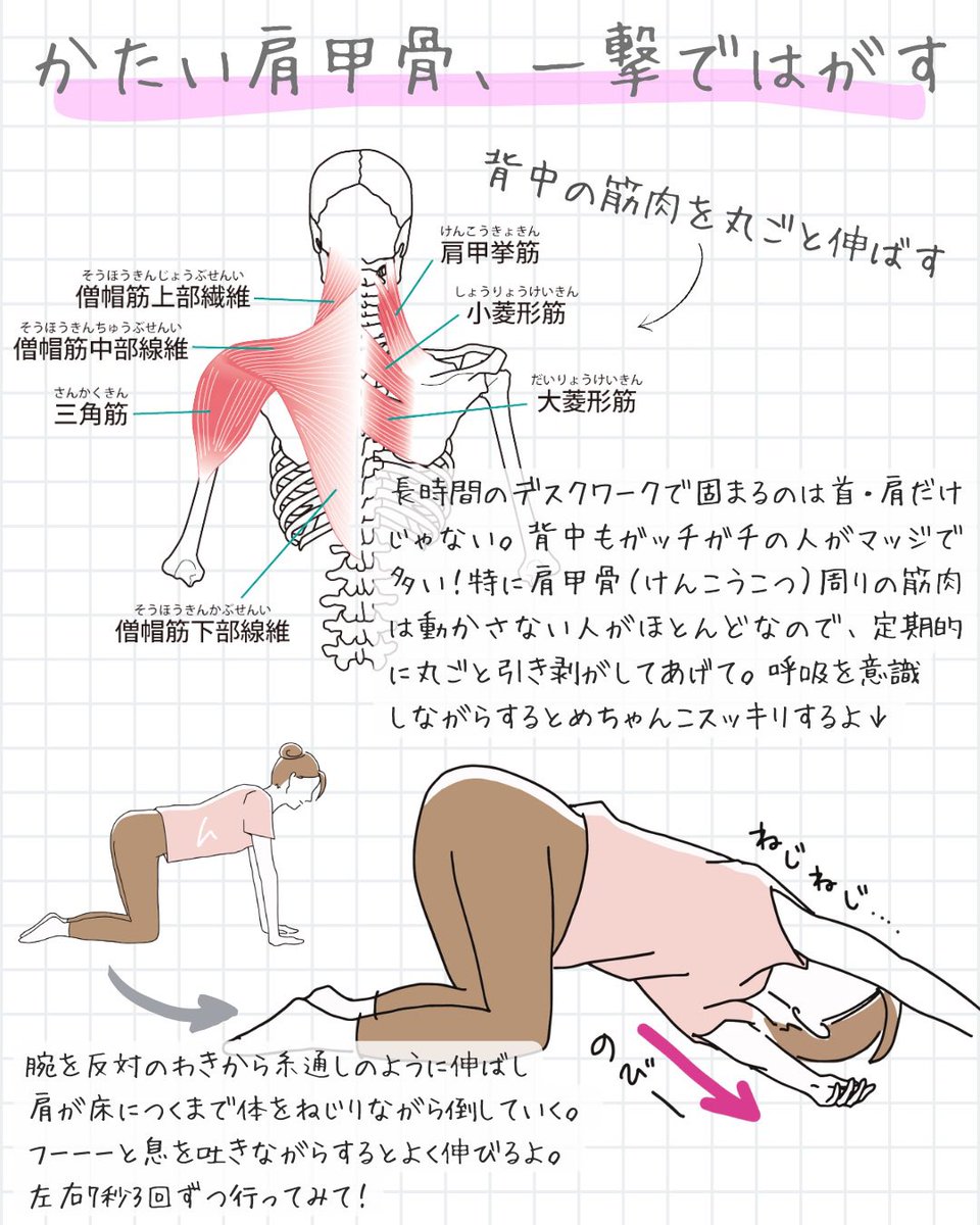 かたこりくん tweet media