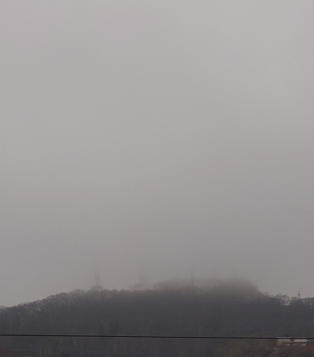 うえじ. tweet media