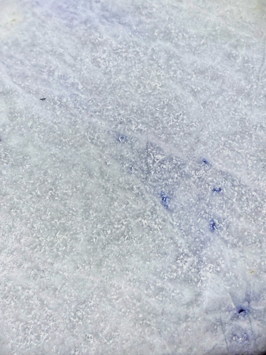 今日のヒスイは、 「何か青が気になる翡翠🔵」です❗️😁 白い翡翠に