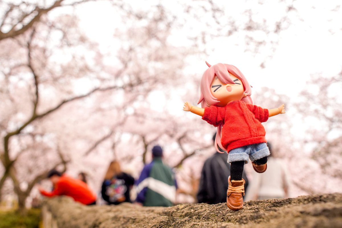 えるキャン△🐶@なでちゃん推し tweet media