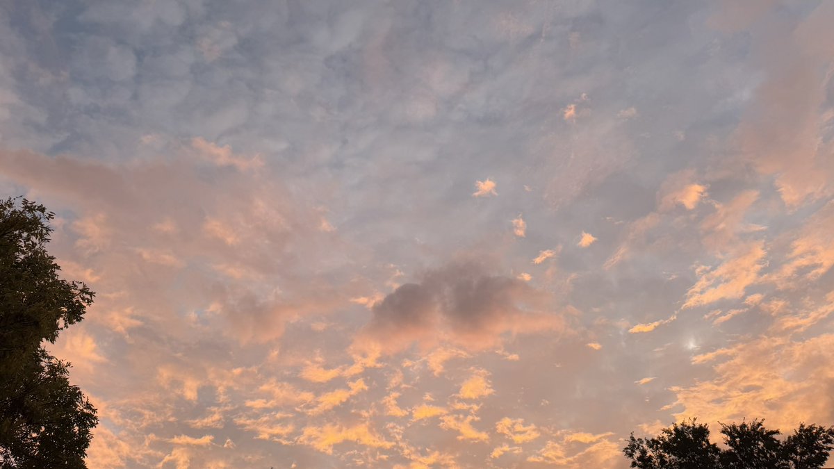 wapple15's tweet image. Good morning #Canberra with a bit of colour before the grey set in. ☁️🌥️☁️