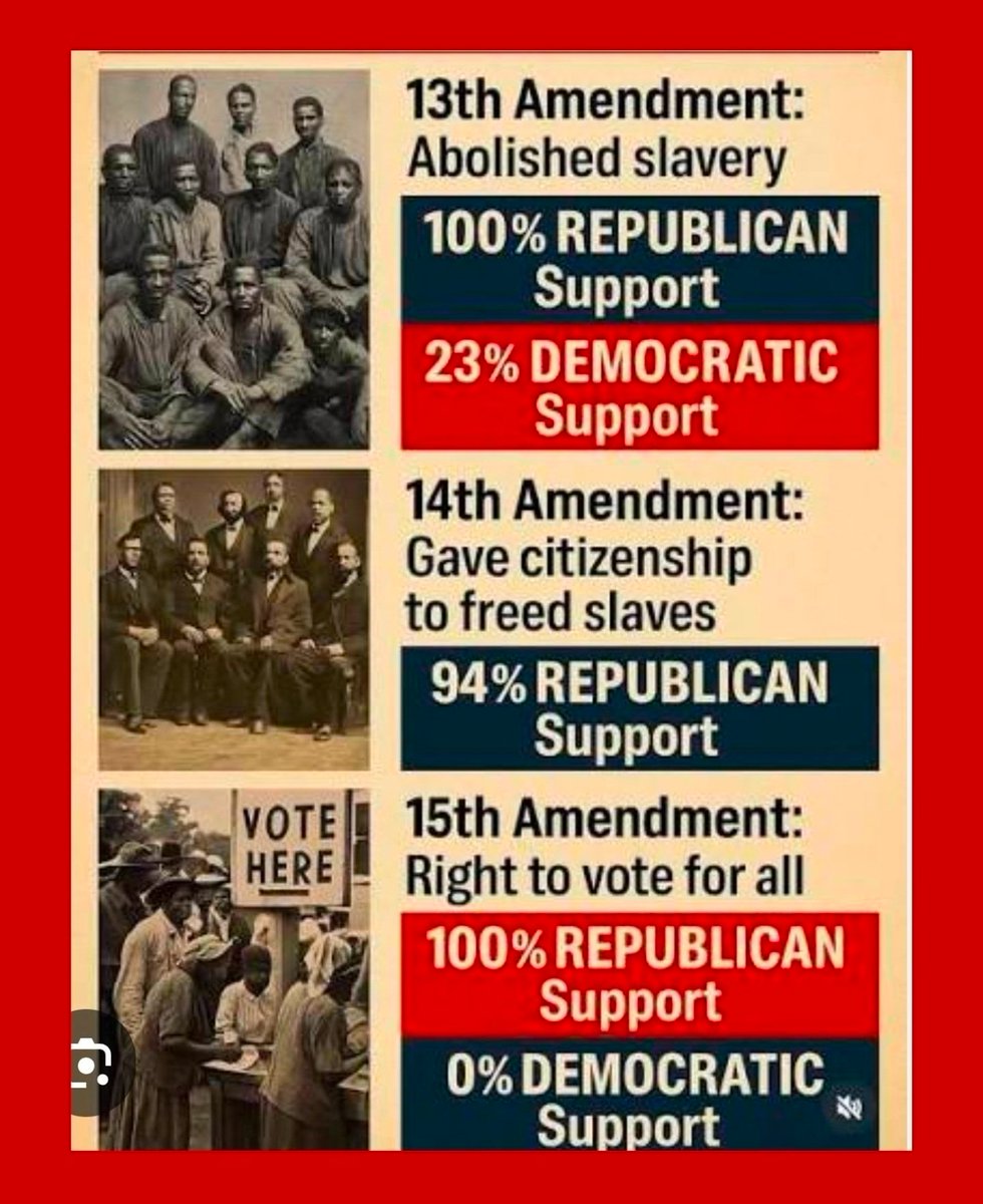 Stephanie Lucas tweet media