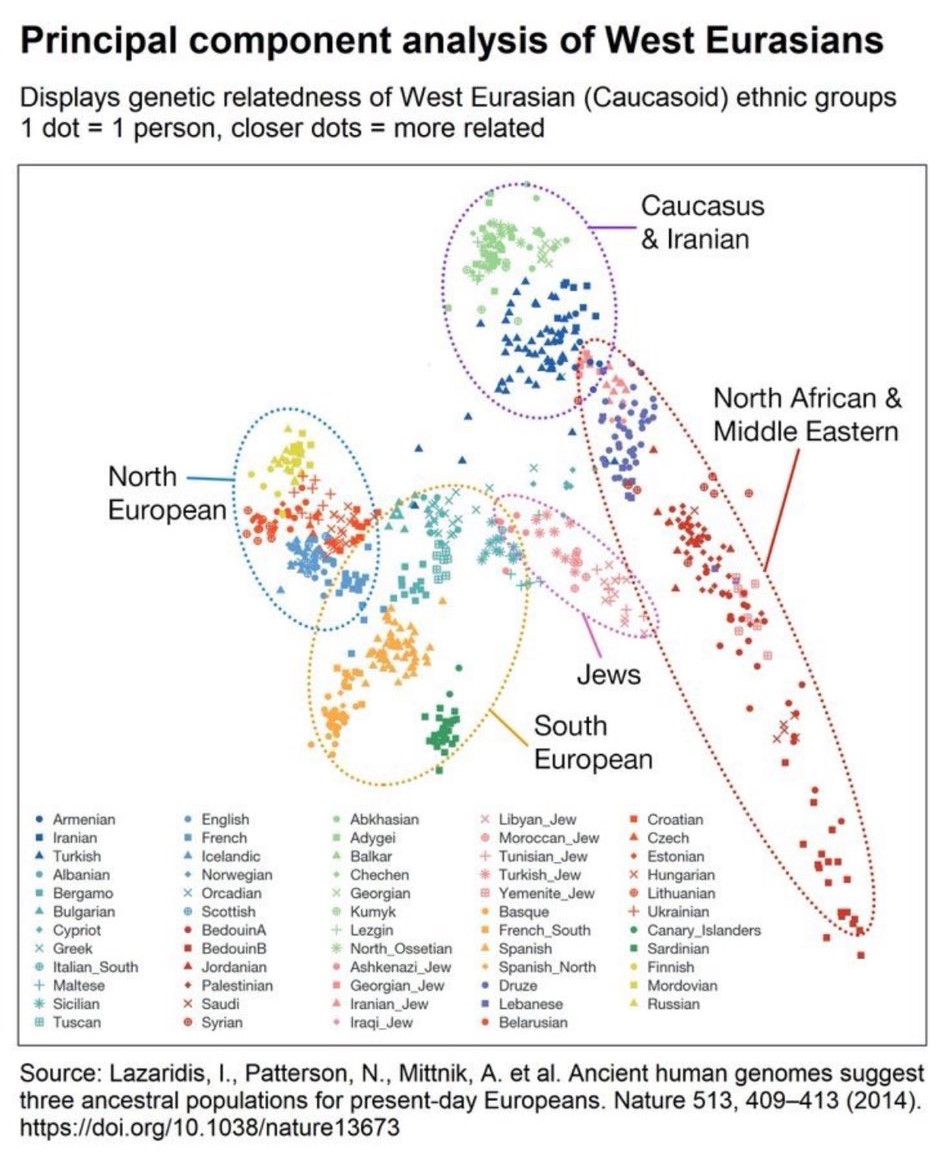 Struggling in college🇱🇧🇦🇴 tweet media