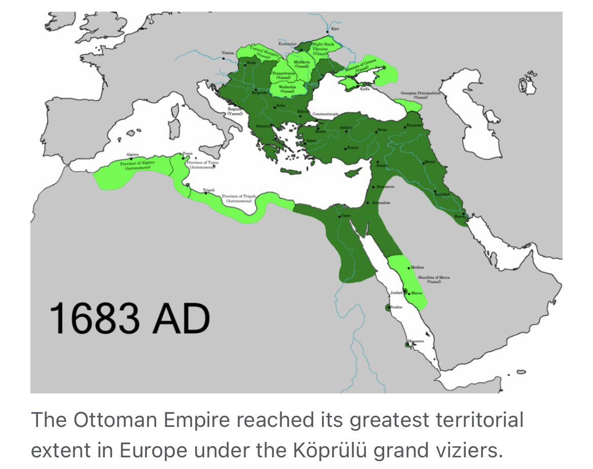 𐌀𐌓𐌍𐌉𐌔 tweet media