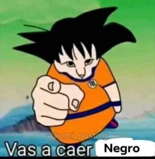 ElPapayoAC tweet media