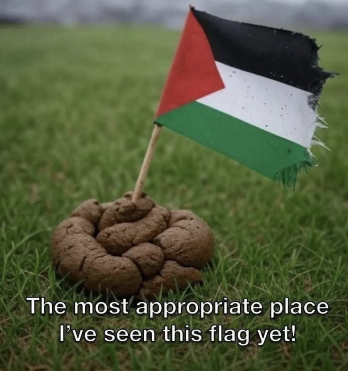 Mauricio Cohen tweet media