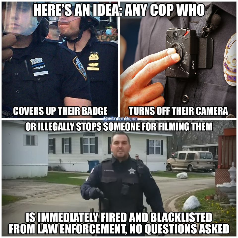 Asher And Bella Dog Dashers tweet media