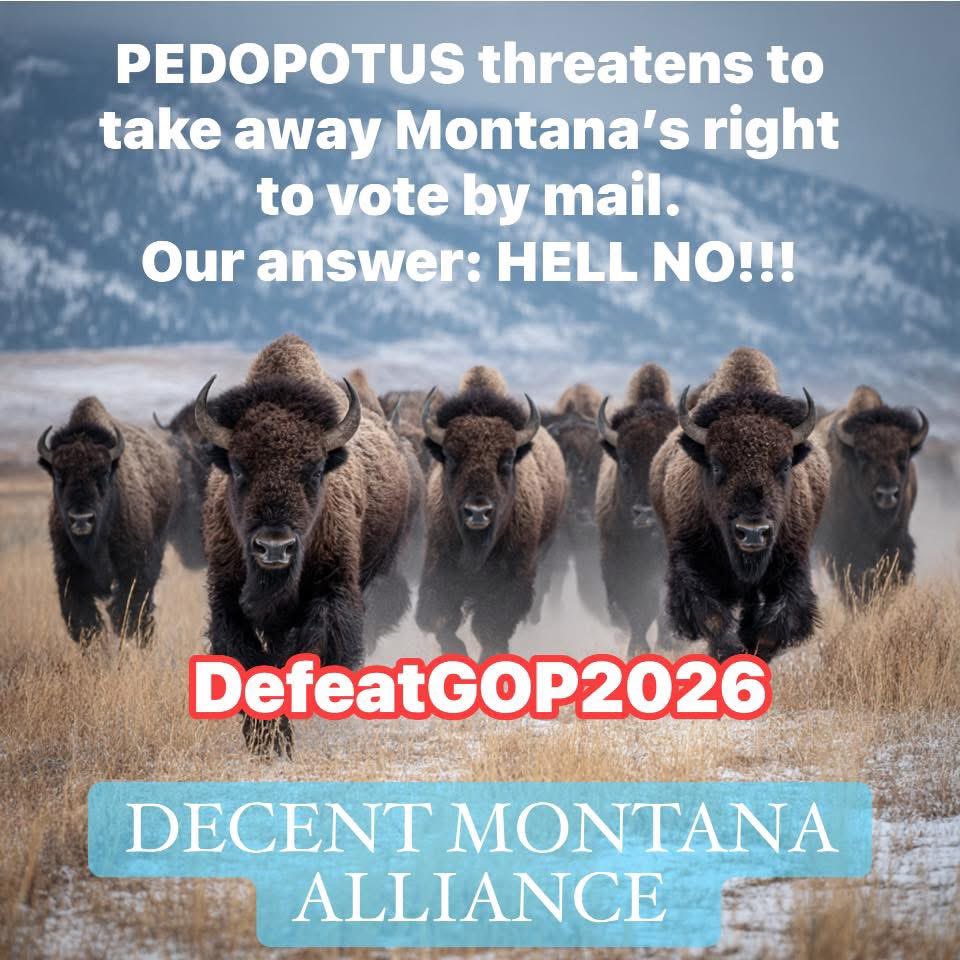 problembear tweet media