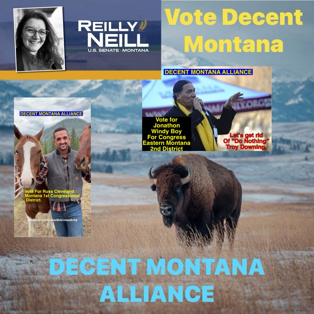 problembear tweet media