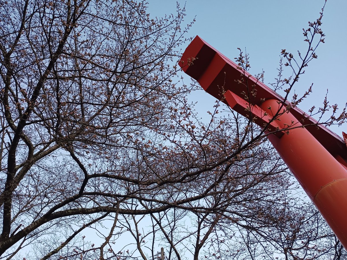 子檀嶺神社　上田市武石 tweet media