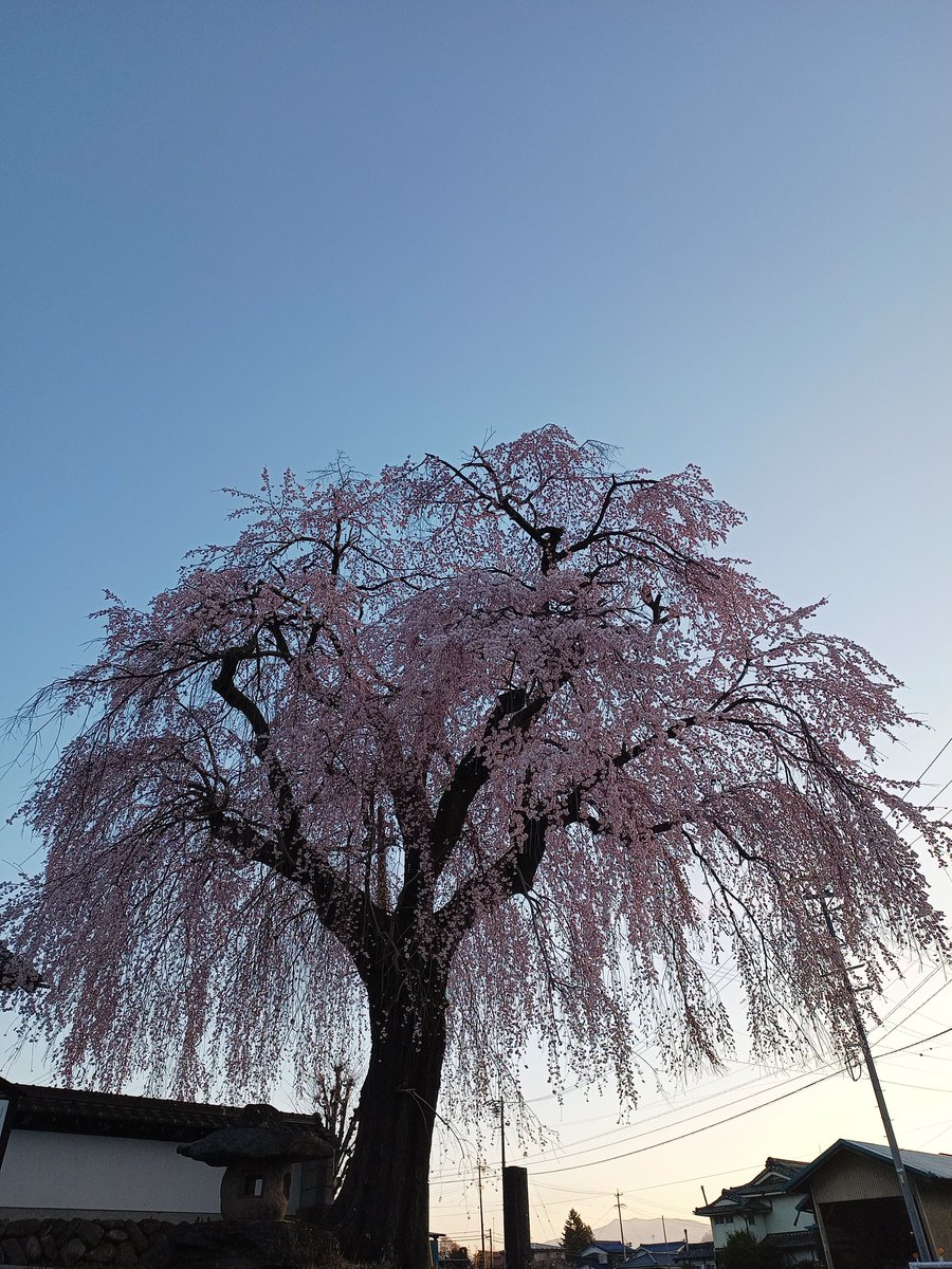 子檀嶺神社　上田市武石 tweet media