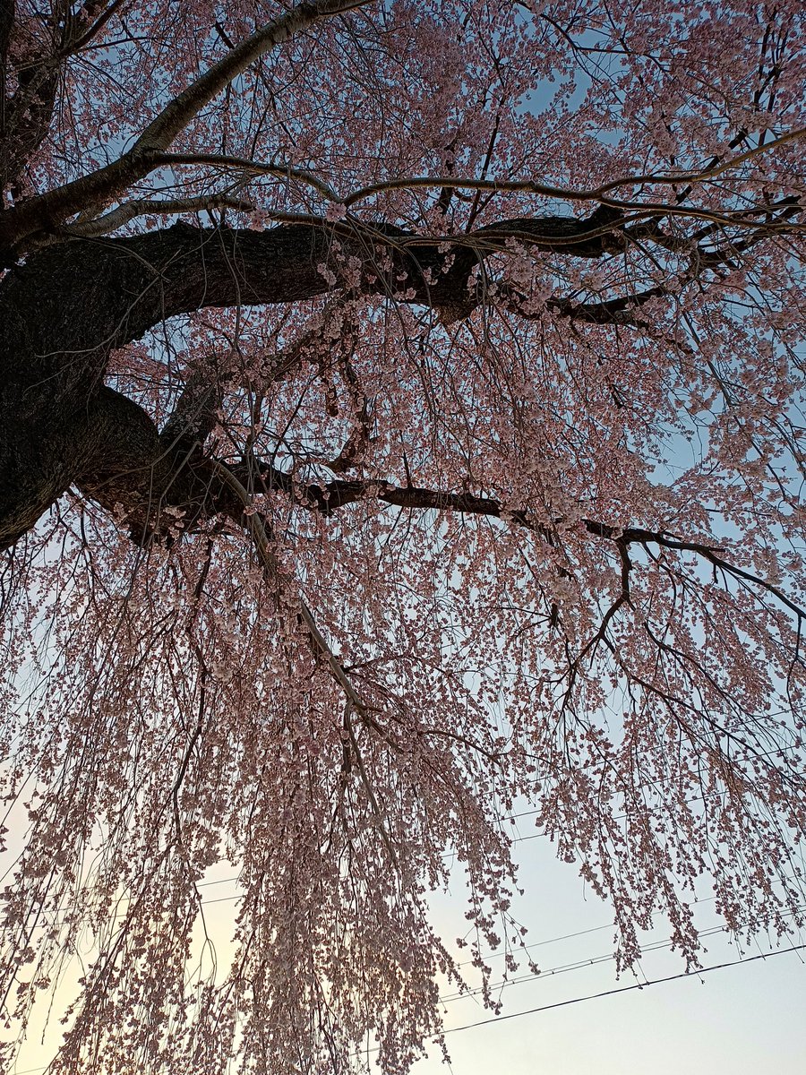 子檀嶺神社　上田市武石 tweet media