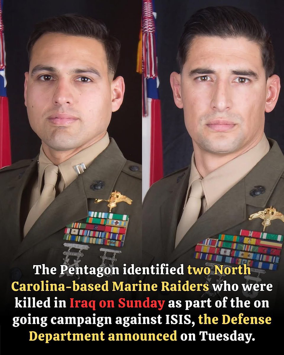 Mike Netter tweet media