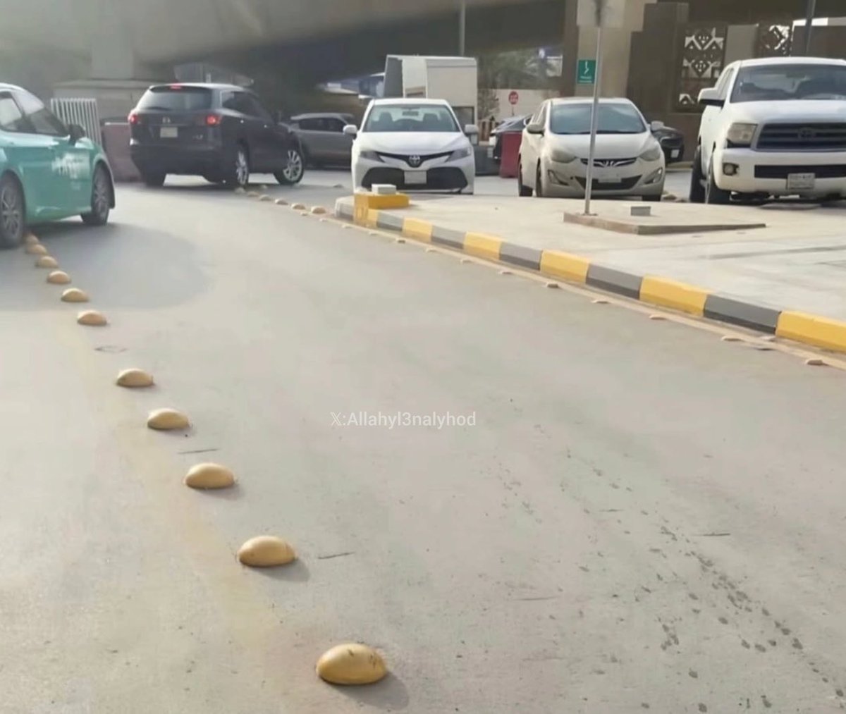 م.لوثر tweet media