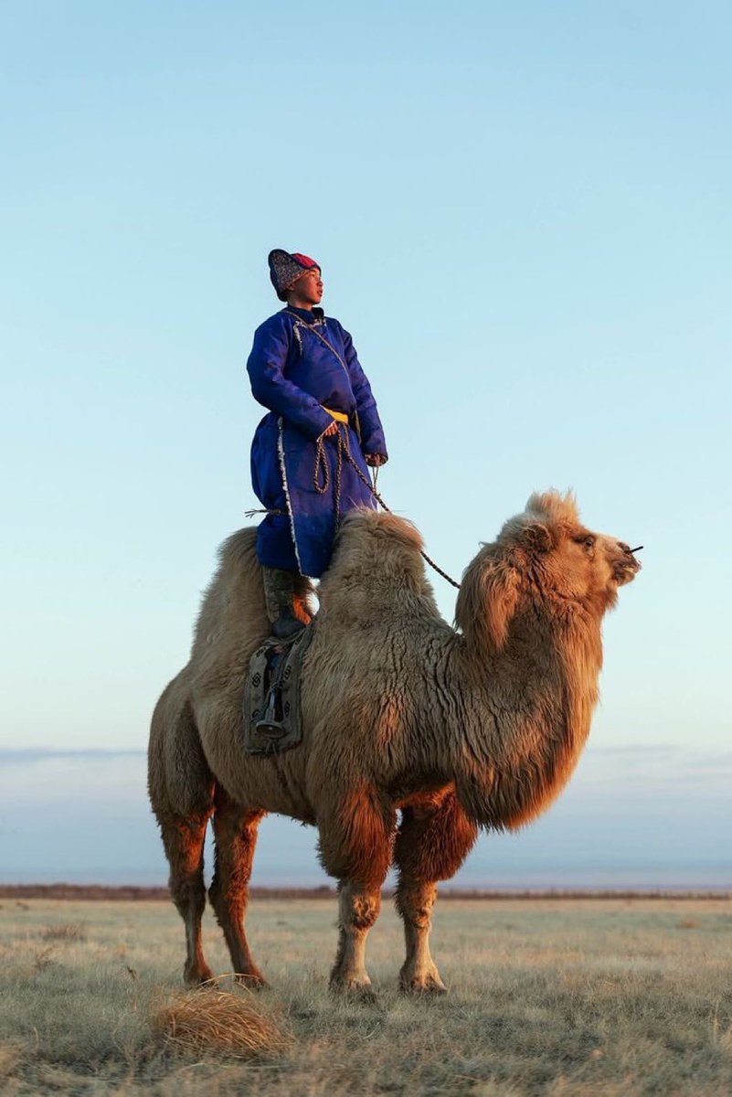 Enkhbat. N tweet media