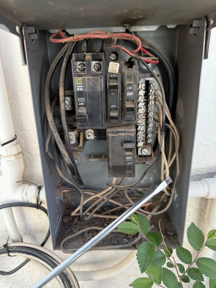 ☘️𝕃𝕦𝕔𝕜𝕪 Ƒʉͫcͧкͭιͪηͣ 𝕄𝕔𝔾𝕖𝕖 tweet media