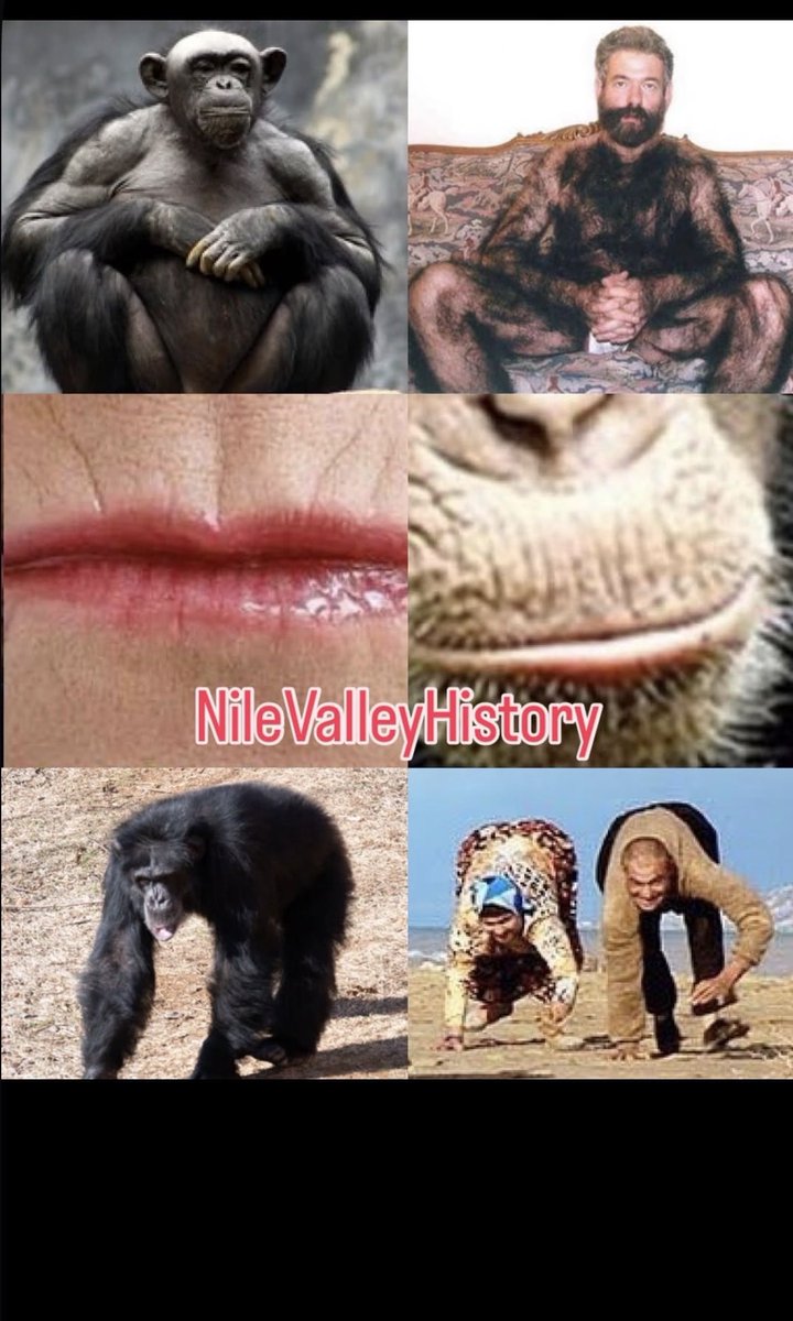 ‎ ________ tweet media