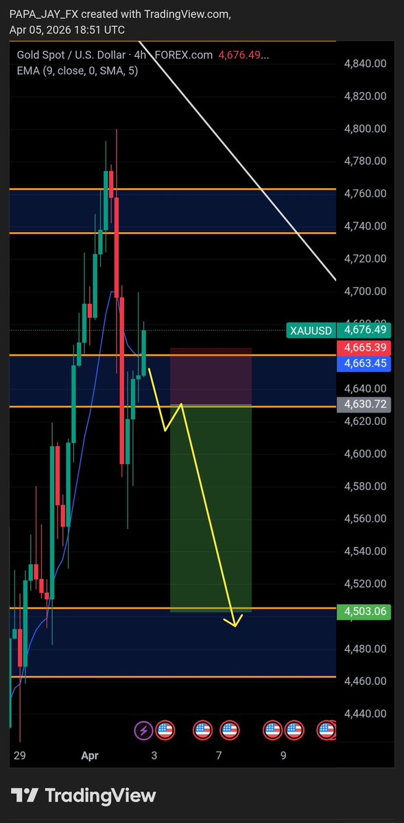 Papi Jay tweet media