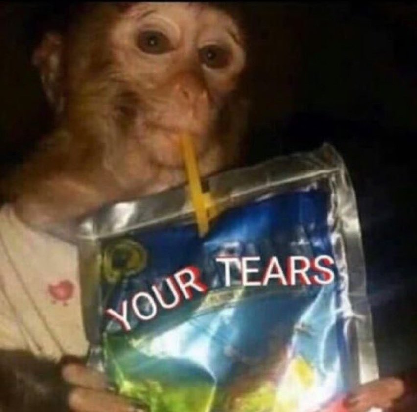 GIFTED 💙❤️ tweet media