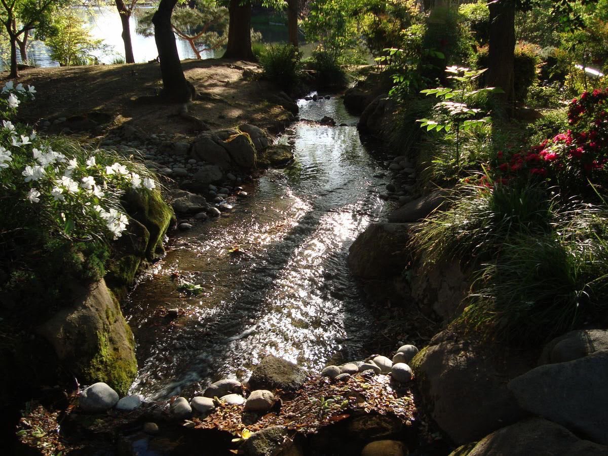 gal౨ৎ tweet media