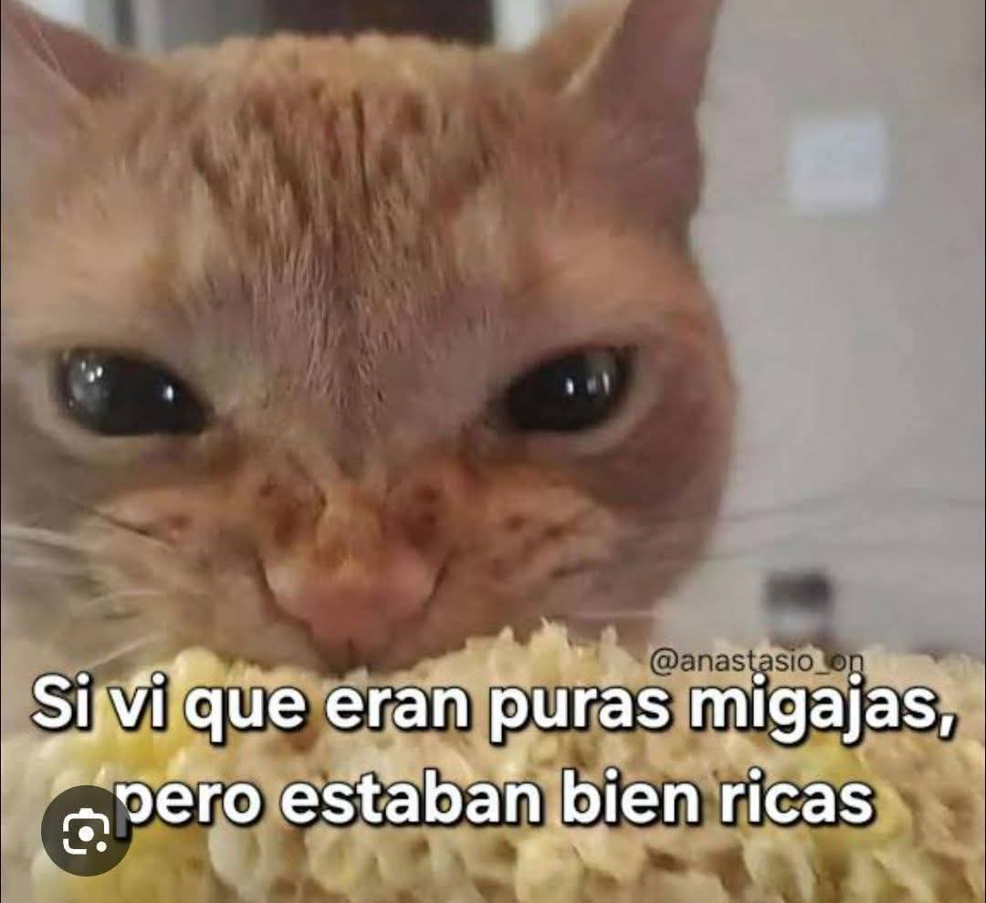 Fer tweet media