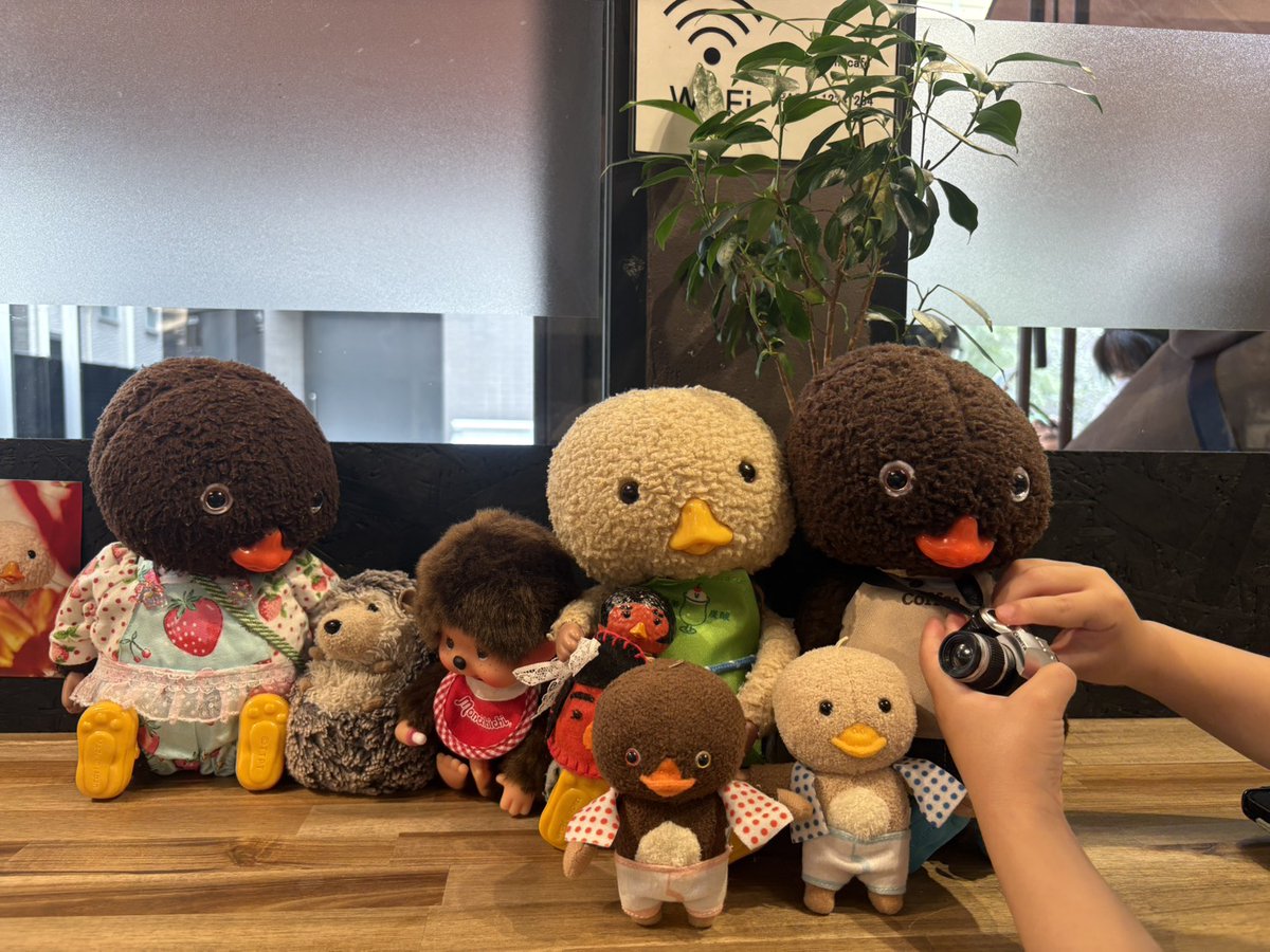 草刈トガノラ𓂃 𓈒𓏸 𓋜 . * tweet media