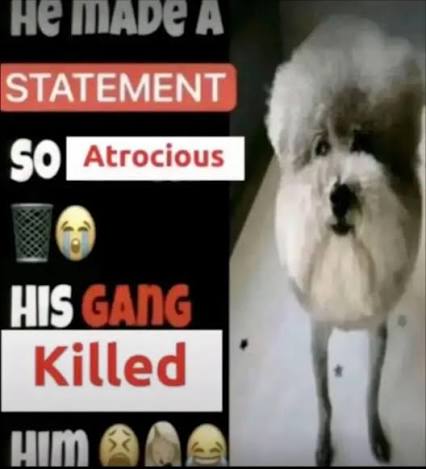 SuaveGoose tweet media