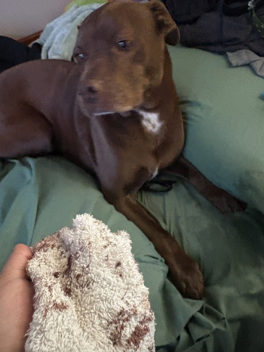 Alex/𝙸an🧨 🔫 tweet media