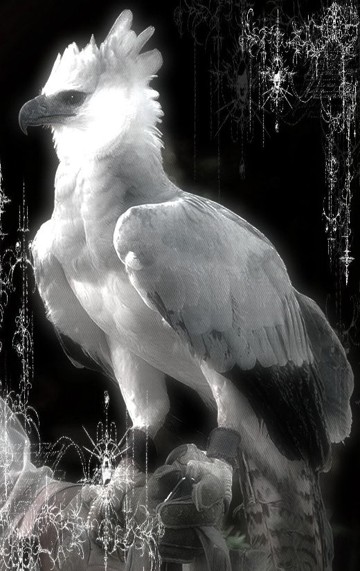 𝙅𝙤’ 🪩 tweet media