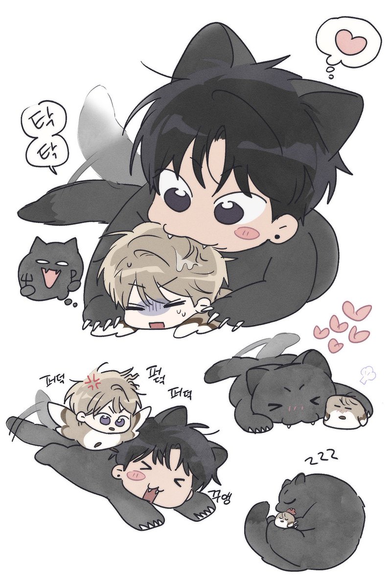 태태금 tweet media