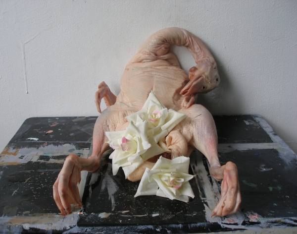 Rat Smoking A Doobie tweet media