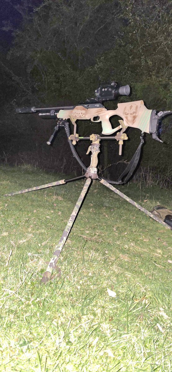 Under- dog tweet media