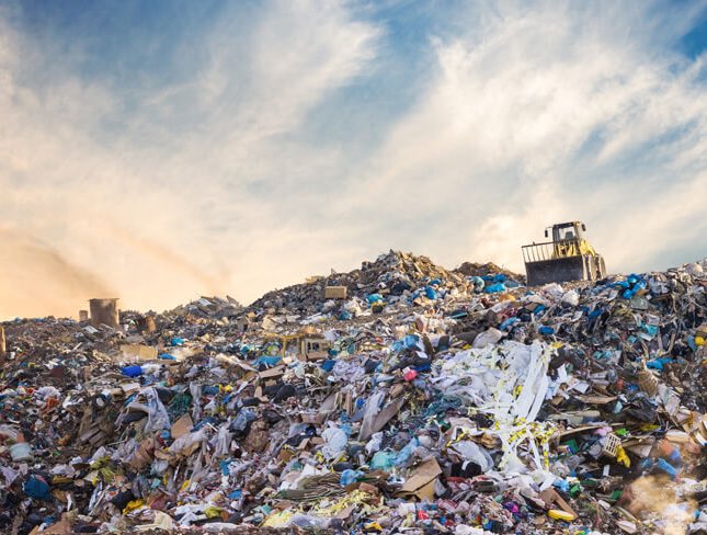 Pistachio 🇮🇷 🇵🇸 tweet media