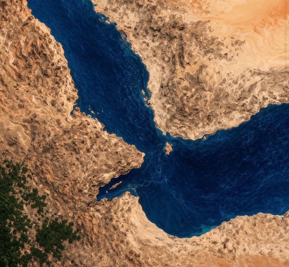 Jackson Hinkle 🇺🇸 tweet media