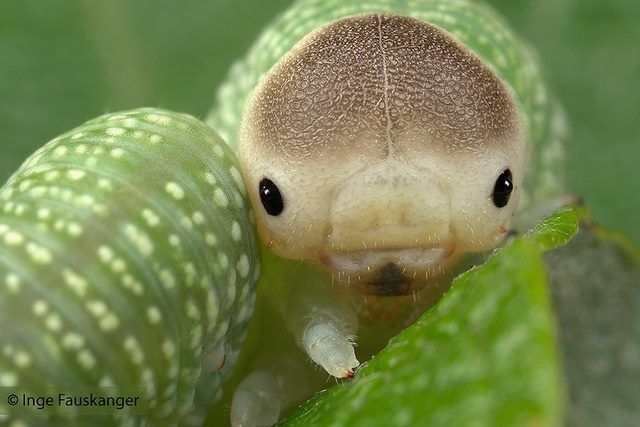 hawa ï๑ tweet media