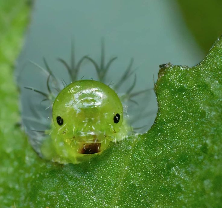 hawa ï๑ tweet media