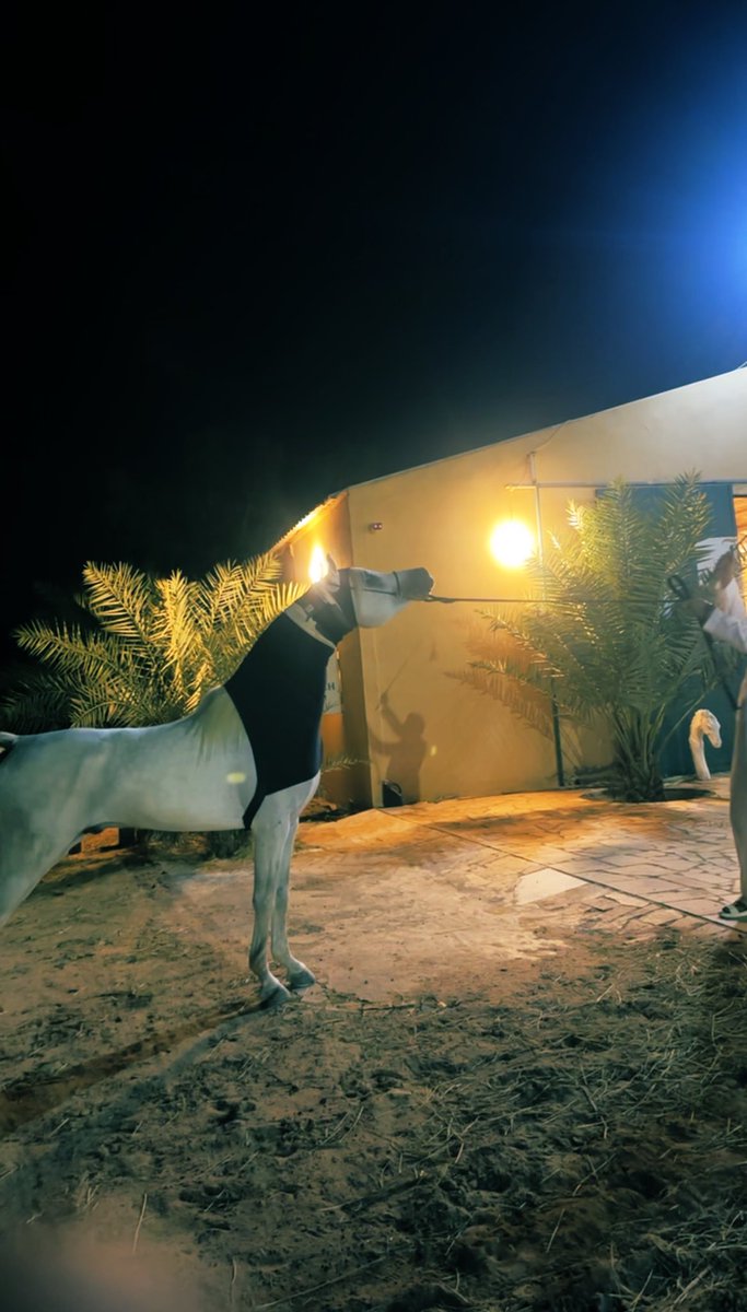 عبدالرحمن بن عبدالله بن مرزوق tweet media