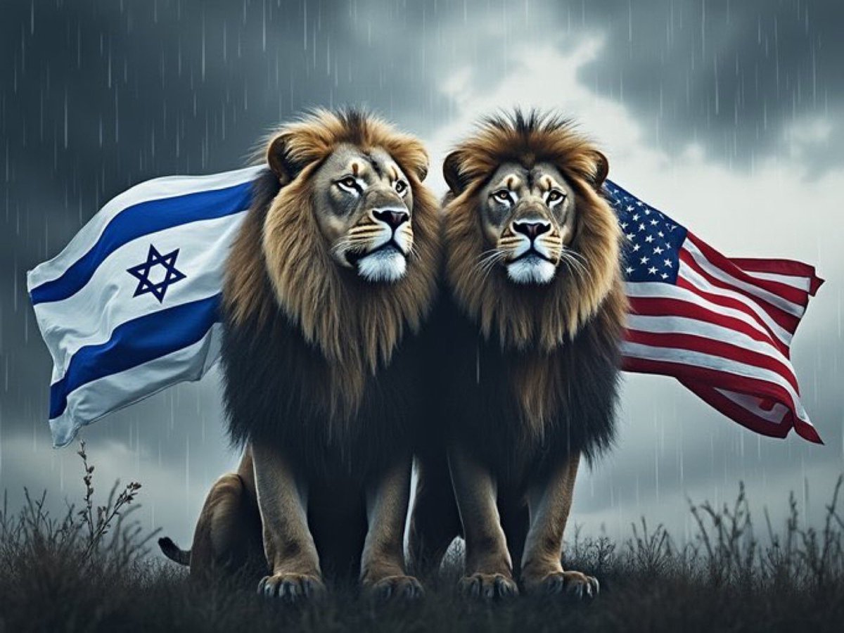 Dolores 🙏🇺🇸❤️🇮🇱 🇺🇸 tweet media