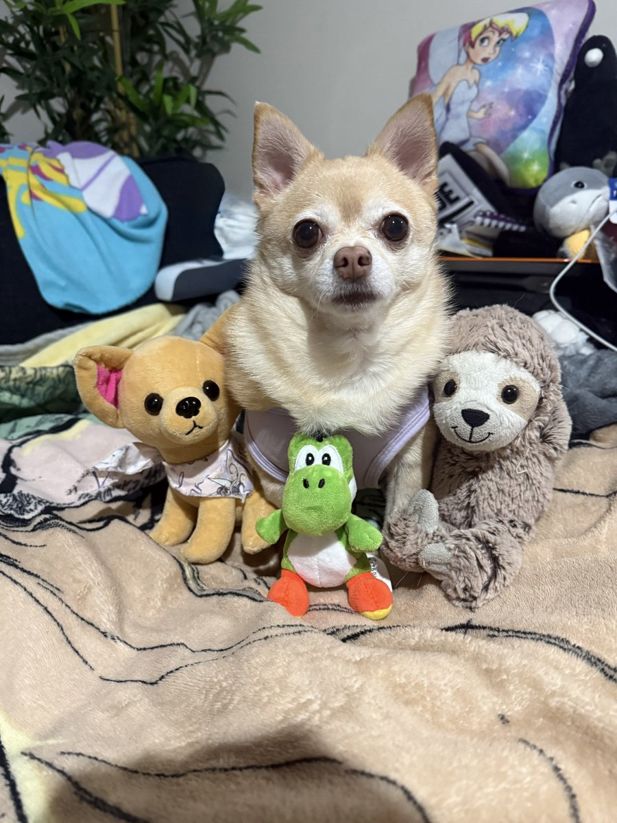 🧚🏻‍♀️🎀 Tinkerbell 🎀🧚🏻‍♀️ tweet media