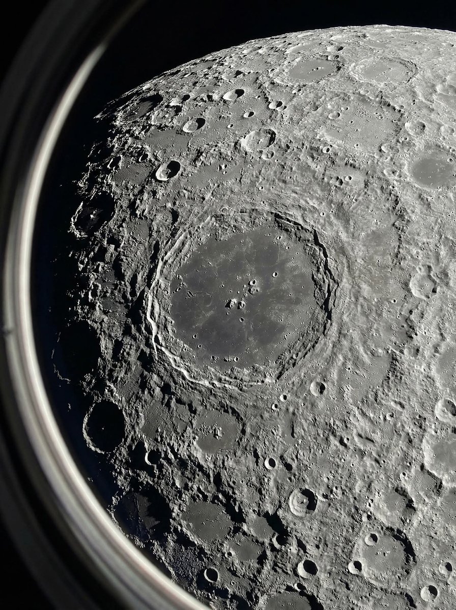 Neural Space tweet media