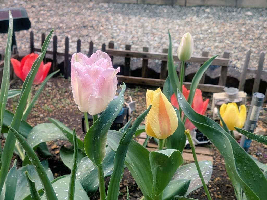 ゆきこと🍚🍖🎹 tweet media