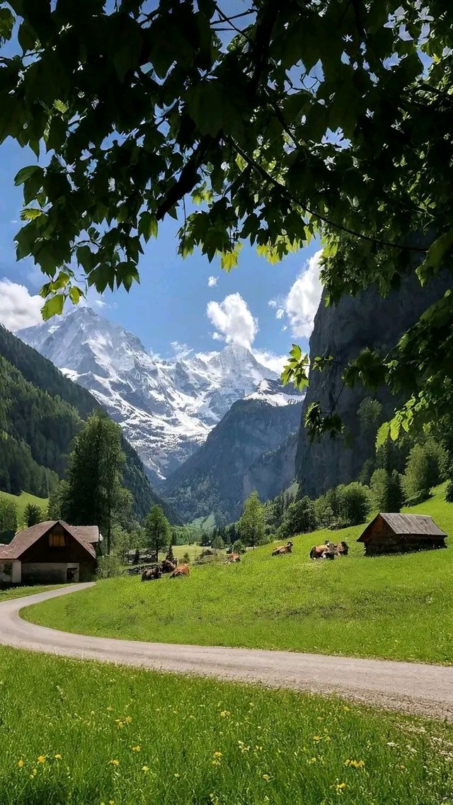 Saran🤍 tweet media