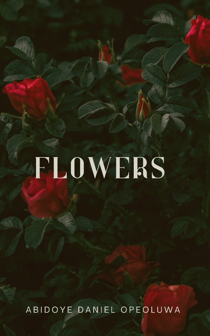 Daniel Of Ibadan🌴 tweet media